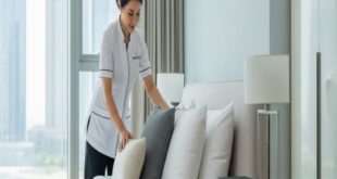 شغالات في مكه النسيم